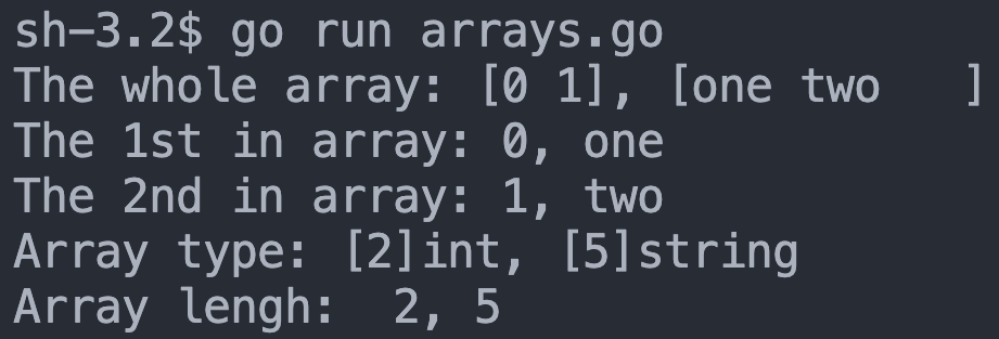 go arrays output